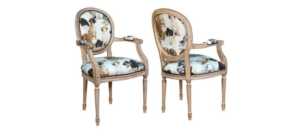 silla 035 estampado perros